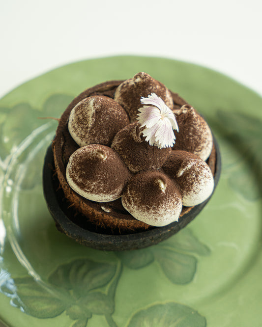Filter coffee tiramisu